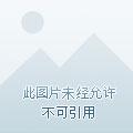 在线男神 爱照镜子