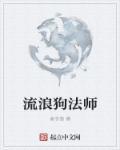 流浪法师攻略