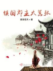 镇国公主什么意思