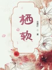 栖软件