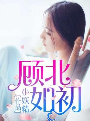 沈如初和顾北城
