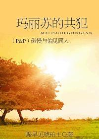 傲慢与偏见中的玛丽