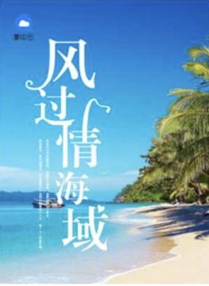 风过情海城免费阅读全文