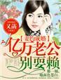 亿万妻约前妻已改嫁