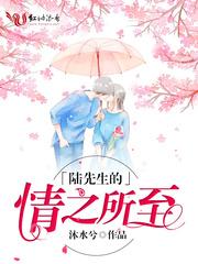 陆先生的情之所至晋江