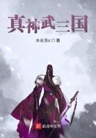 真神武三国的文道