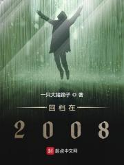 回档在2008TXT百度