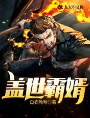 盖世帝婿