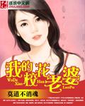 我的校花老婆完整版